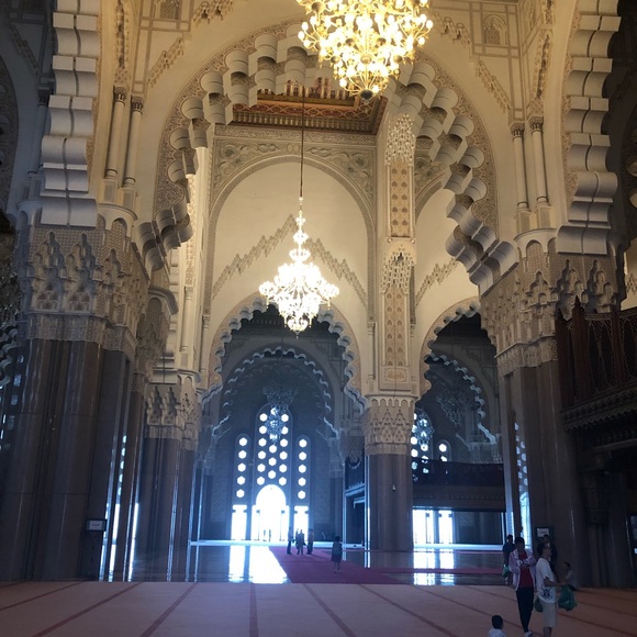 Meet your Posher, Brie - Picture 1 of 1